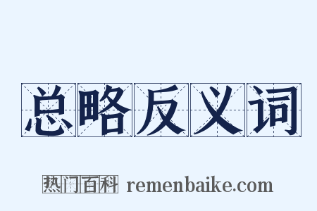 总略反义词是什么意思的图片